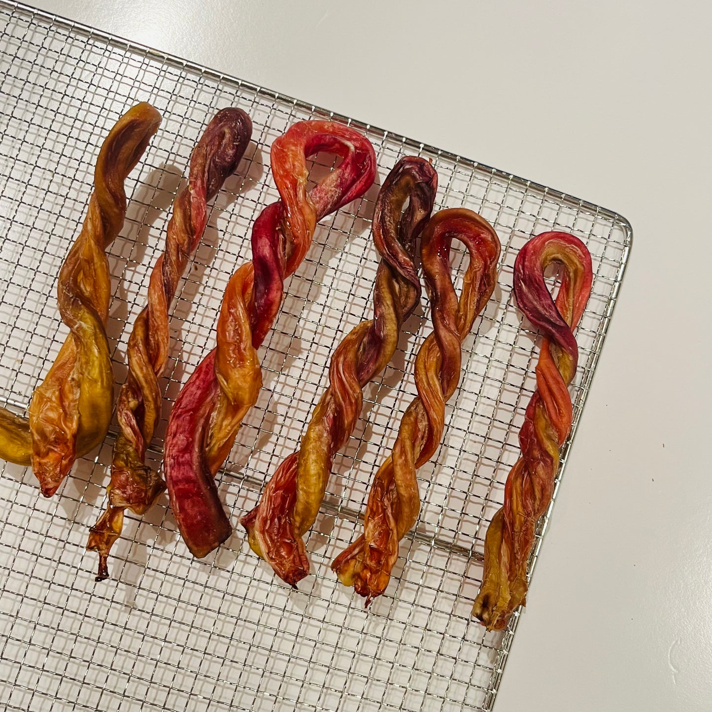 <直身同扭紋都有!>阿根廷磨牙牛JJ