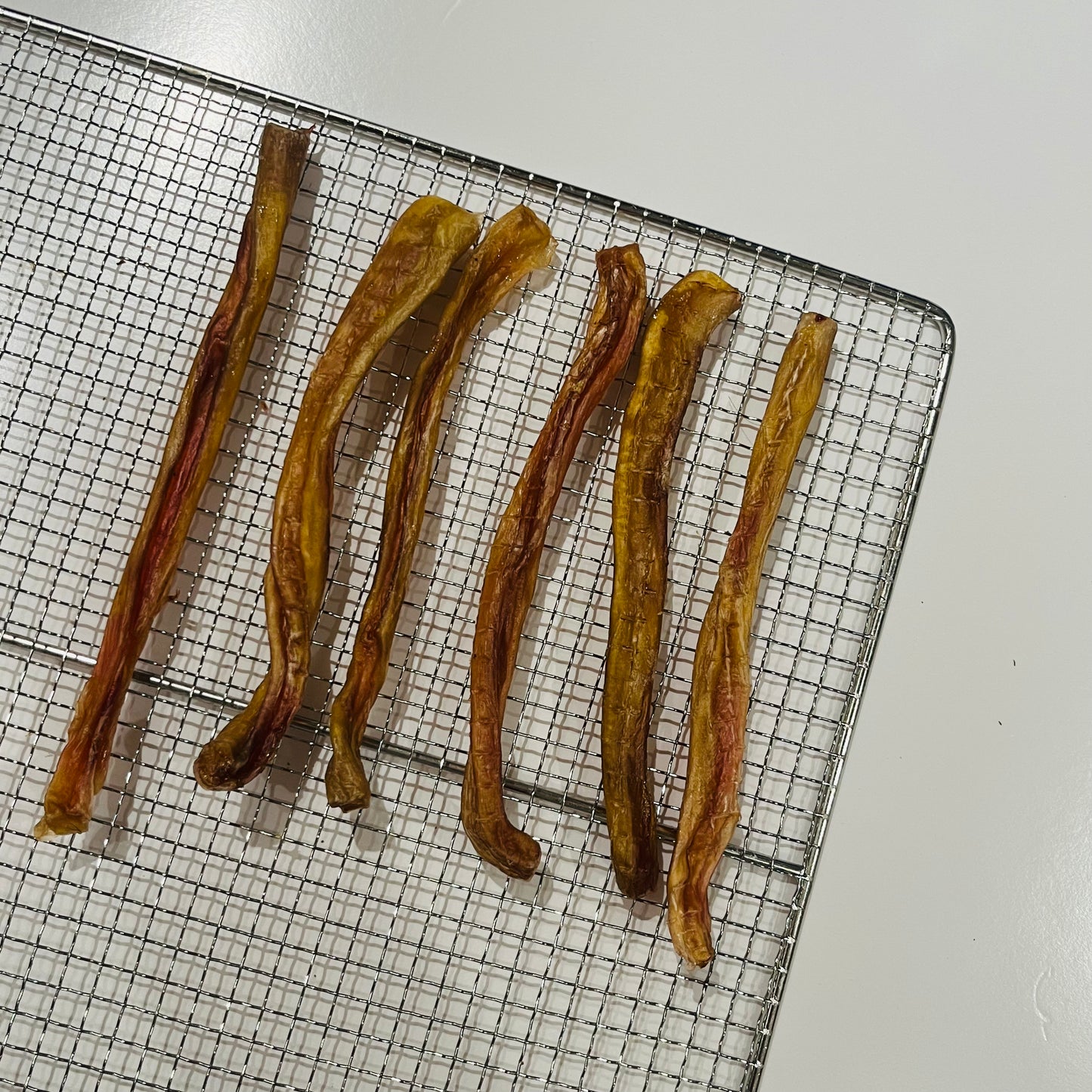 <直身同扭紋都有!>阿根廷磨牙牛JJ