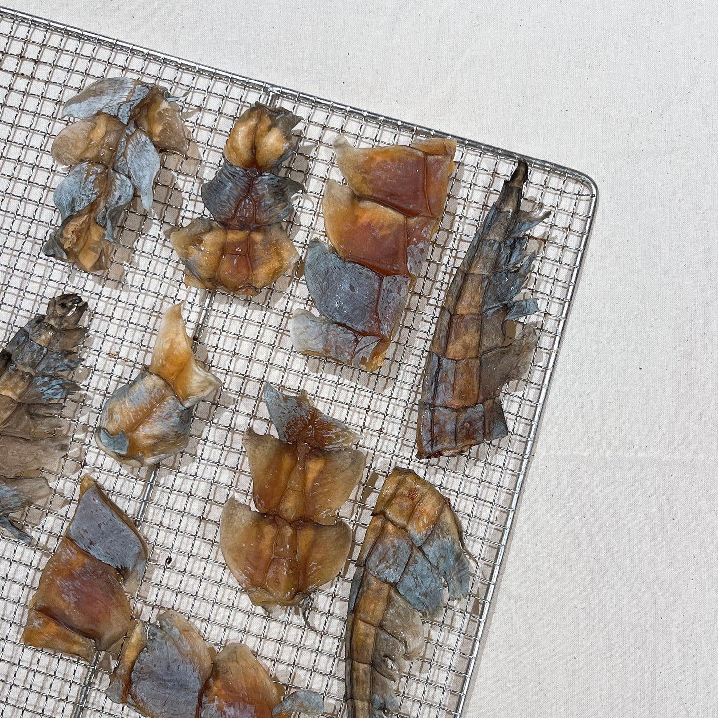 Thai crocodile tail glue