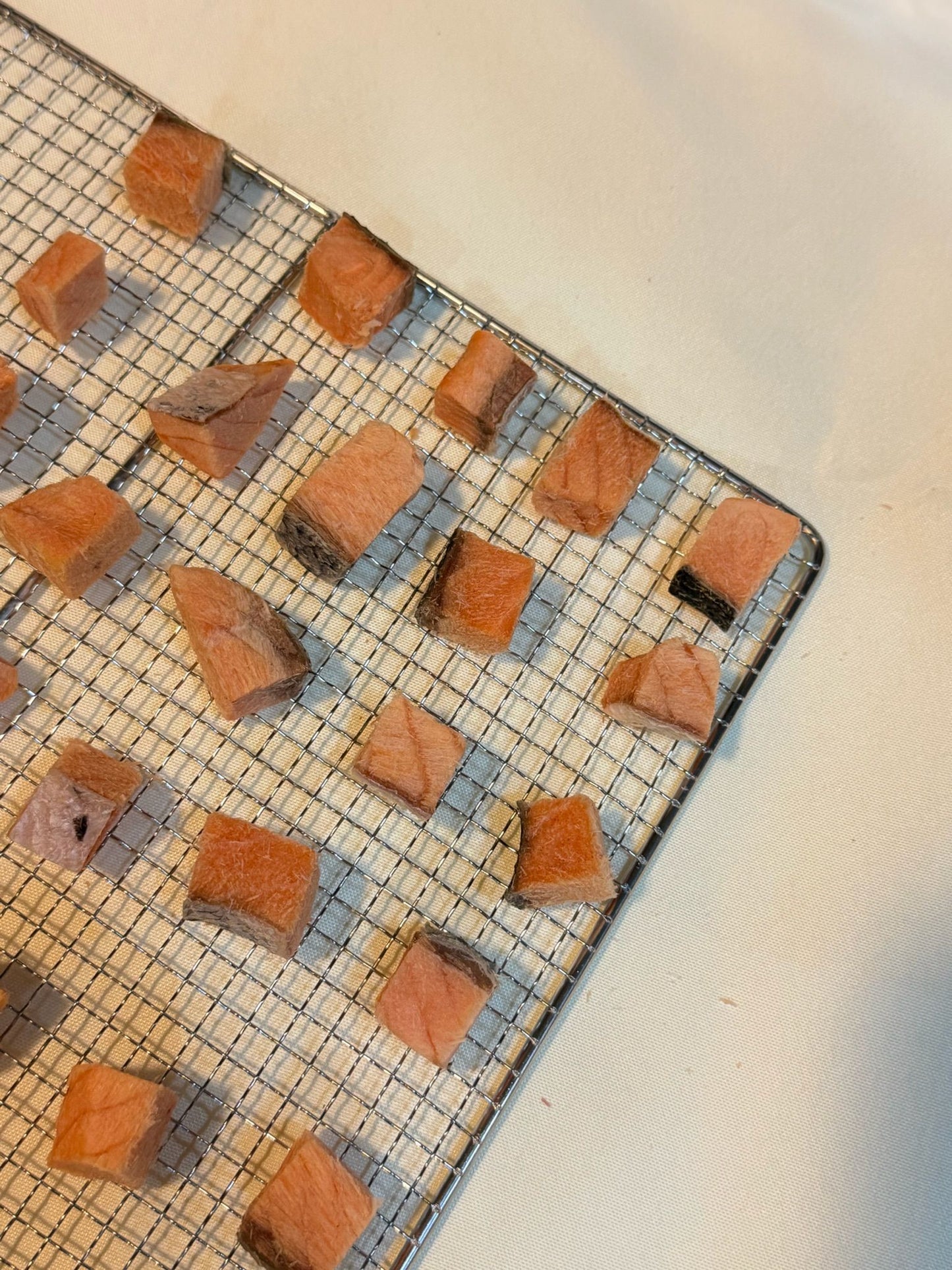 freeze-dried Norwegian salmon