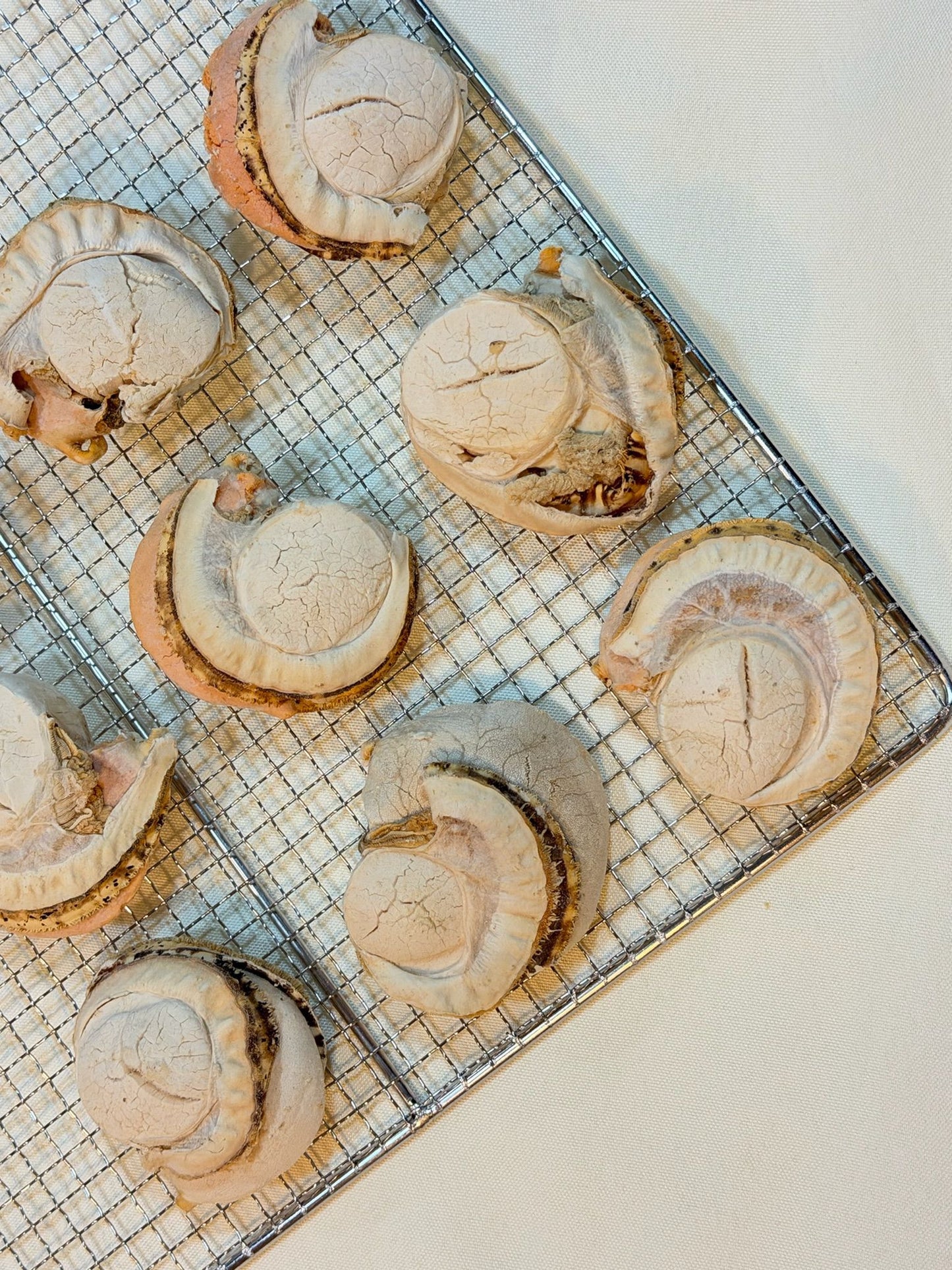 Freeze-dried Japanese scallops with eggs