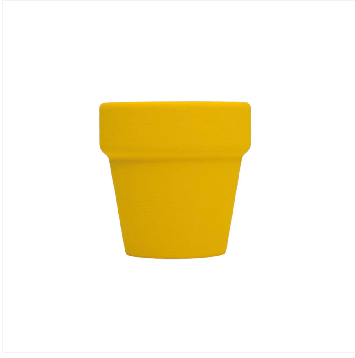 毛孩鬍鬚收集器
