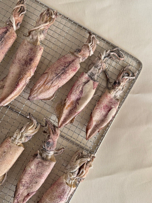 凍乾原隻火箭魷魚