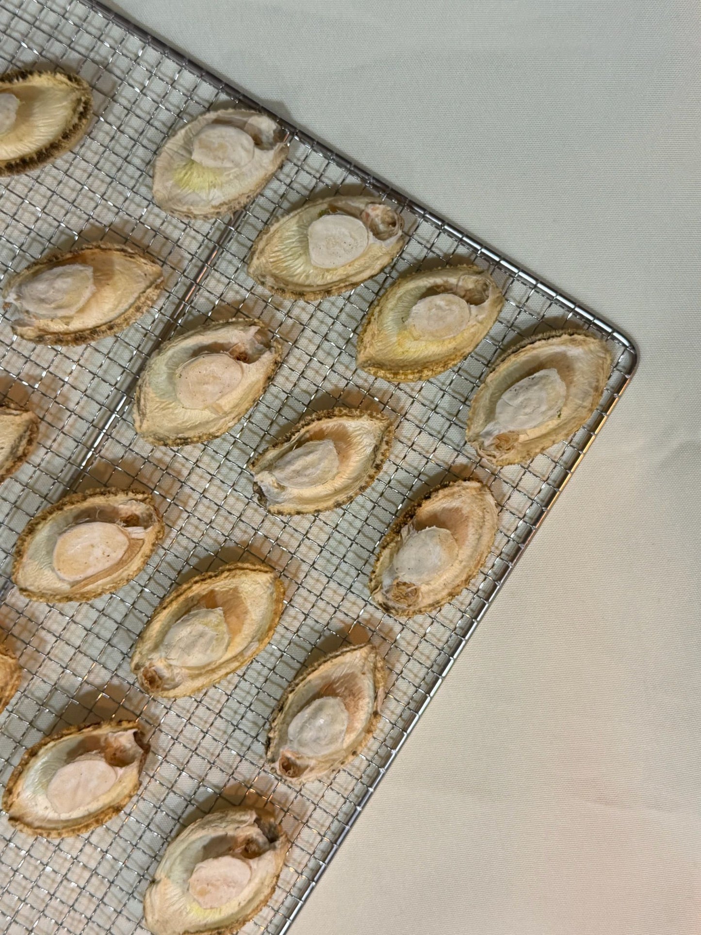 freeze-dried mini abalone